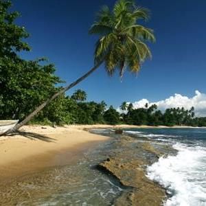 Meet your Posher, Carlos